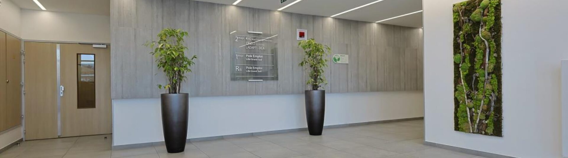 FSDV - Foncière, Coworking, Hors-Site - Immeuble de bureau à Lille